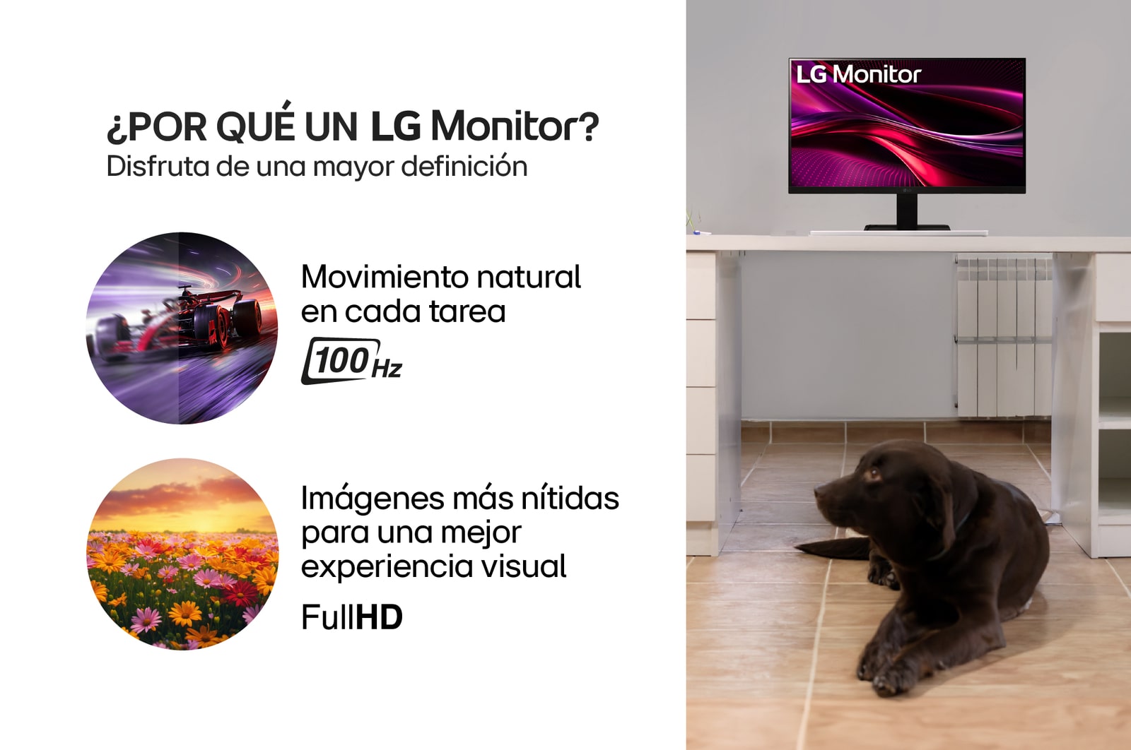 Monitor FHD - 22MR410-B